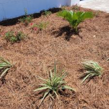 Coastal Oasis Pensacola Beach Landscape Design 4