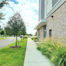 Elevating Hiltons Landscape Downtown Pensacola Hotel 17