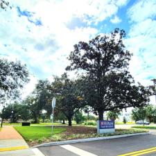 Elevating Hiltons Landscape Downtown Pensacola Hotel 20