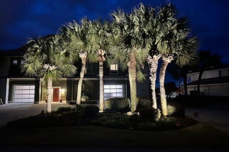 Enhancing Pensacola Beach: The Wallace Company's Exquisite Landscape Lighting Design