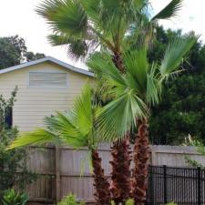 Gulf Breeze Landscaping Blue Dolphin 2