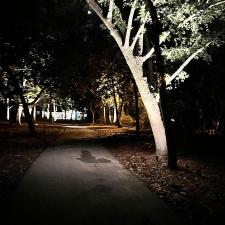 Outdoor LED Landscape Lighting 2