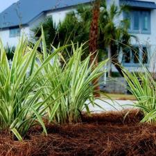 Pensacola Beach Massey Landscaping 21