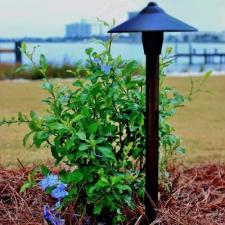 Pensacola Beach Massey Landscaping 23