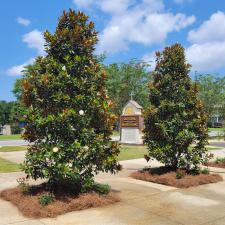 The Cathedral Of Sacred Heart Courtyard Pensacola 6